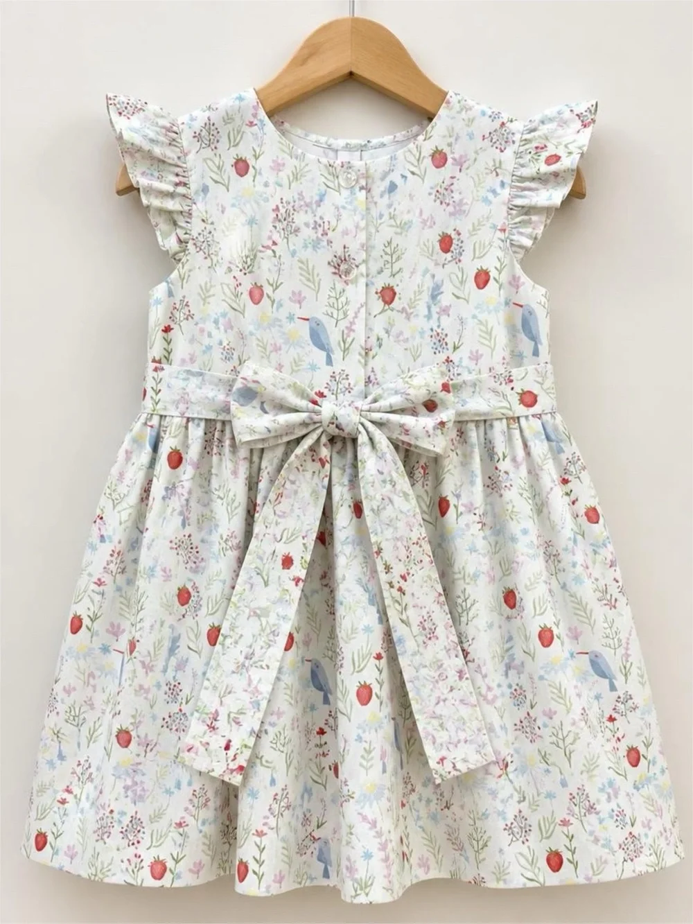 Anavini Girls 24M Hand Smocked Dress Strawberry Bird Floral Peter Pan Collar